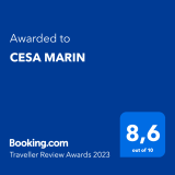 Digital-Award-TRA-2023-Cesa Marin